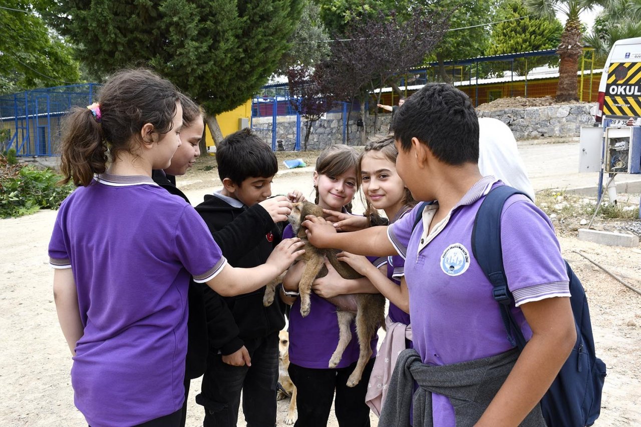 Öğrenciler, Evcil Hayvan Rehabilitasyon Merkezi’ni gezdi