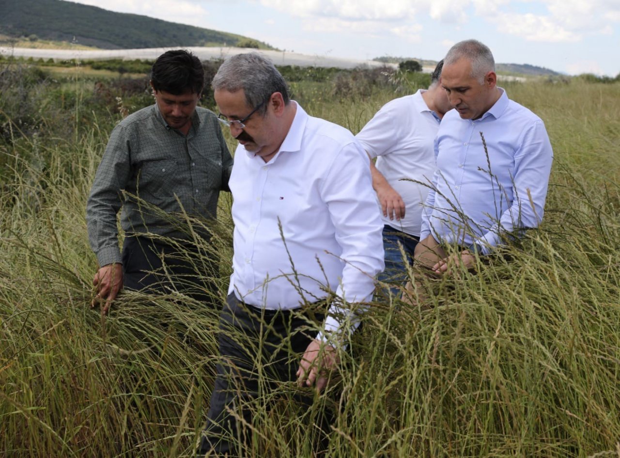 Salihli’de Mera Islah ve Amenajman Projesi açıldı
