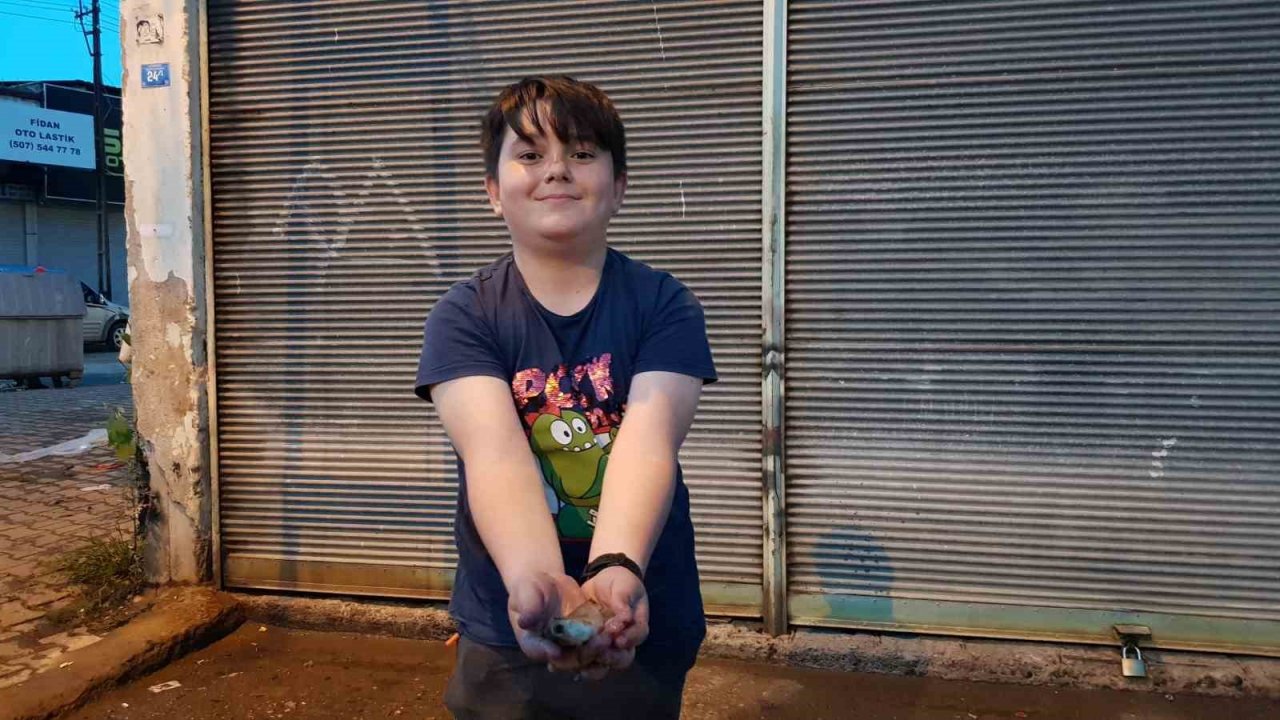 Samsun’da selden etkilenen balıklar ırmağa bırakıldı