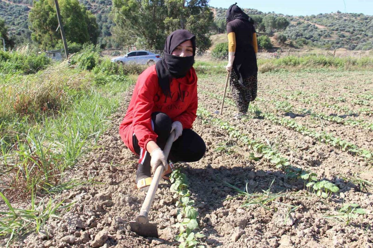 Aydın’da çapa sezonu başladı