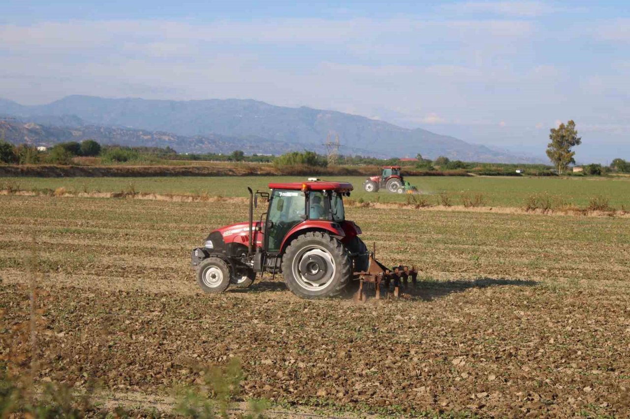 Pamuk ekimleri yağmur engeline takıldı