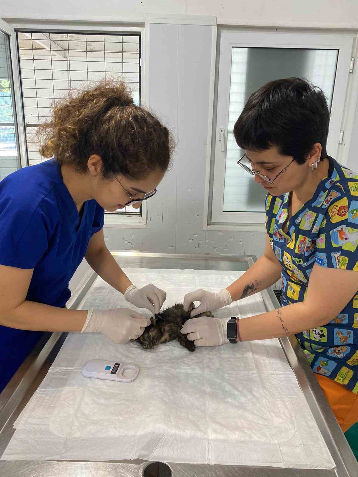 Vatandaş ihbar etti, belediye müdahale etti