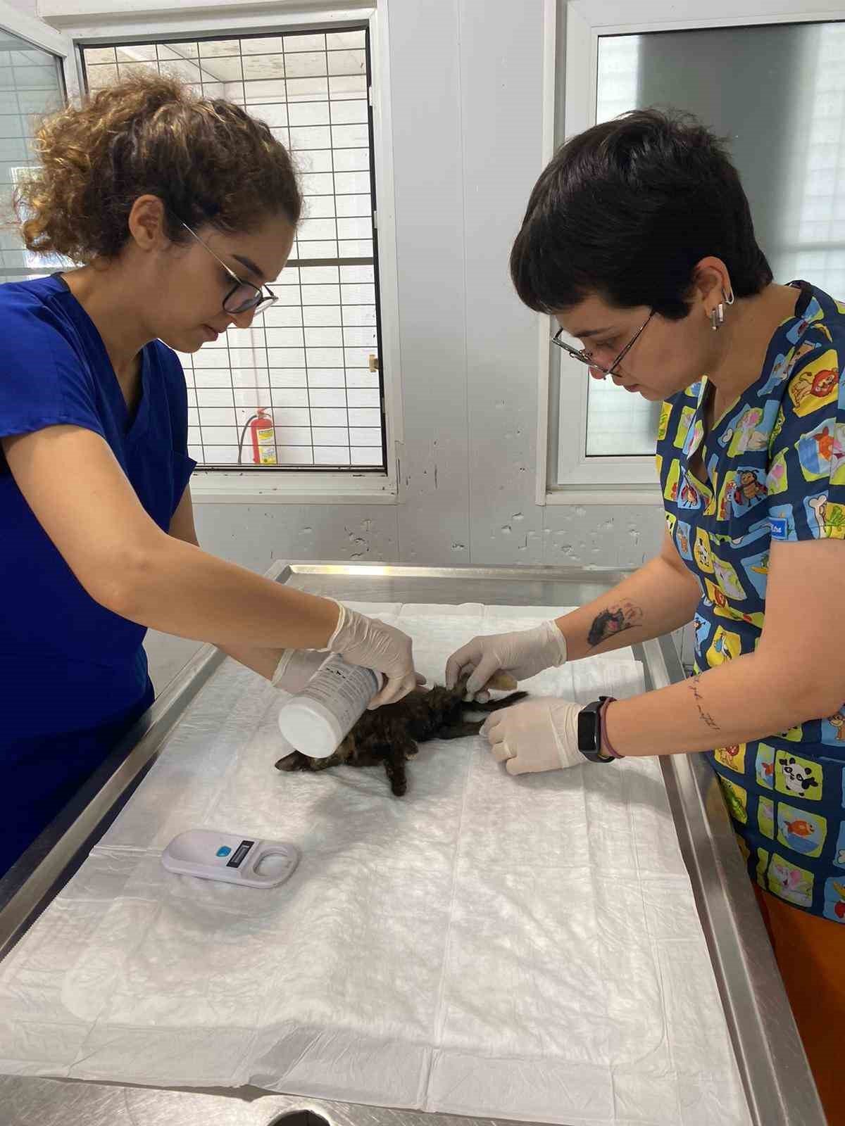 Vatandaş ihbar etti, belediye müdahale etti