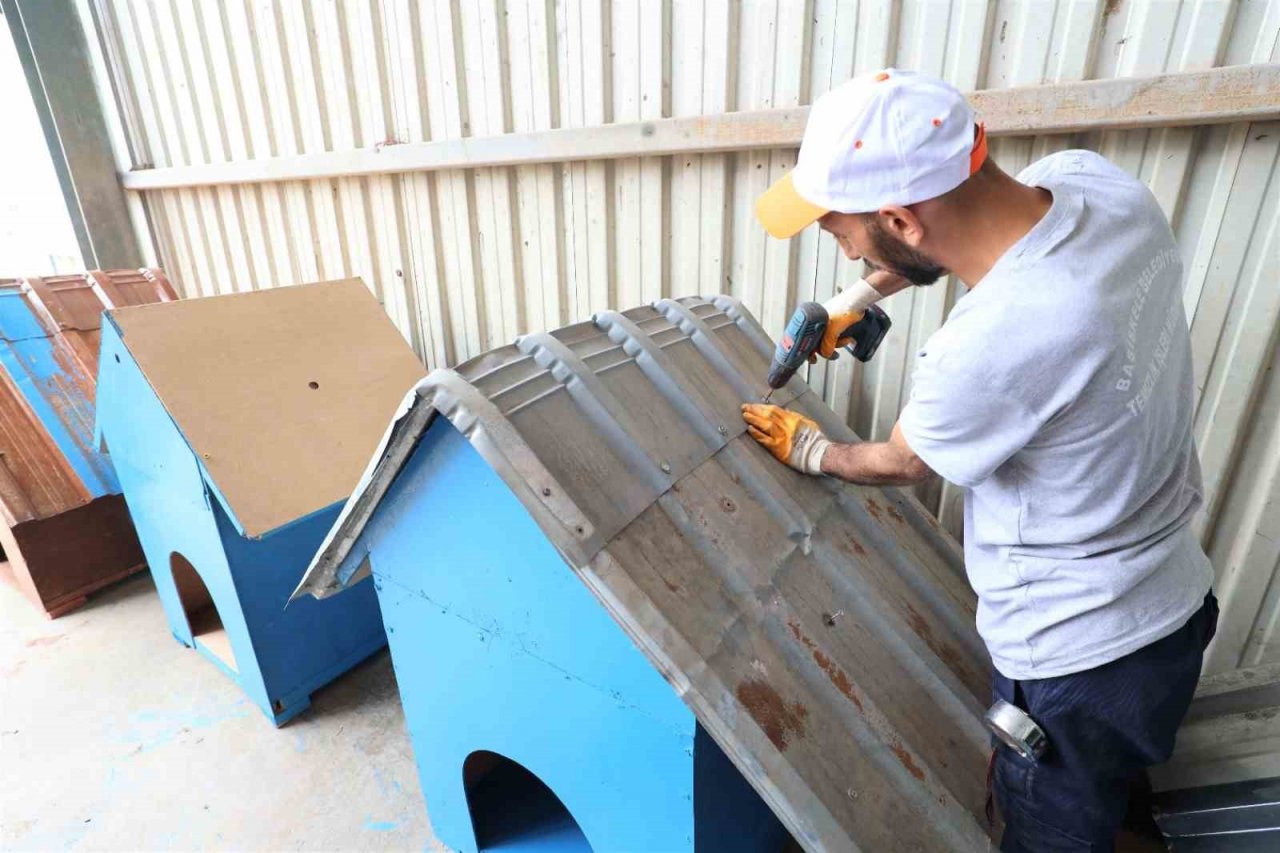 Atık malzemeler sokak hayvanlarına yuva oluyor