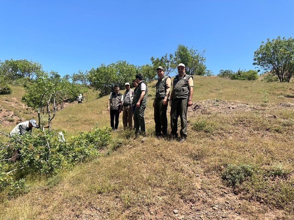 Bingöl’de aşılama çalışması yapıldı