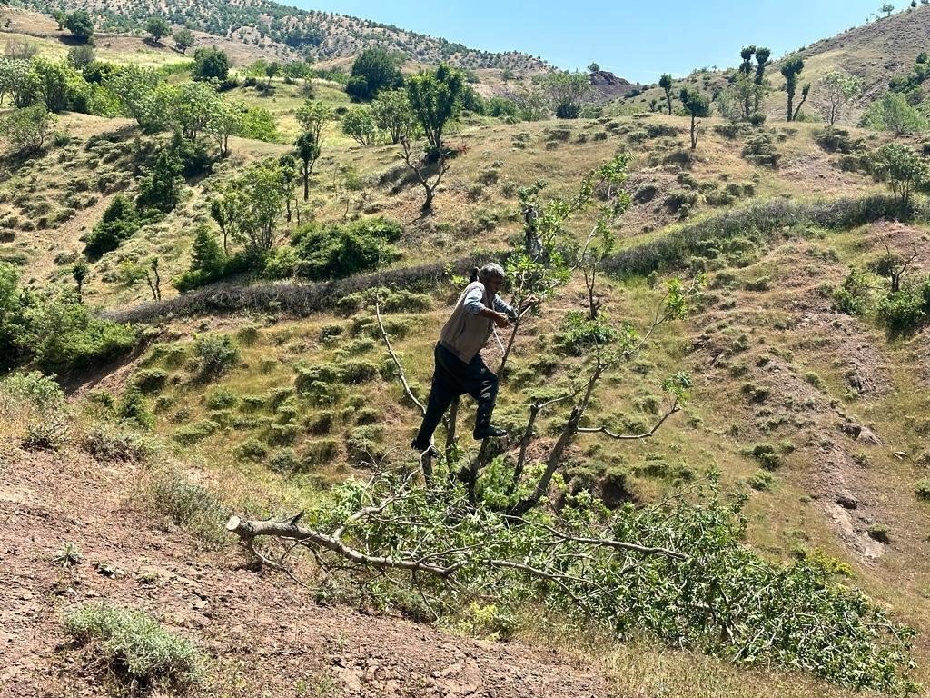 Bingöl’de aşılama çalışması yapıldı