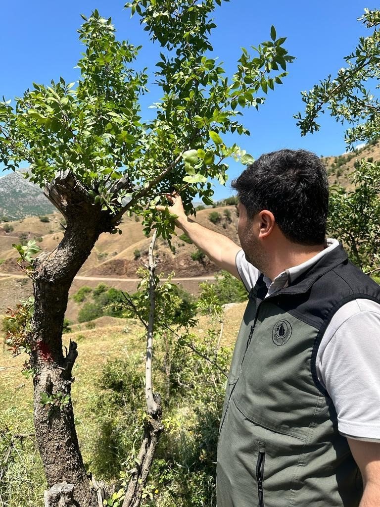 Bingöl’de aşılama çalışması yapıldı