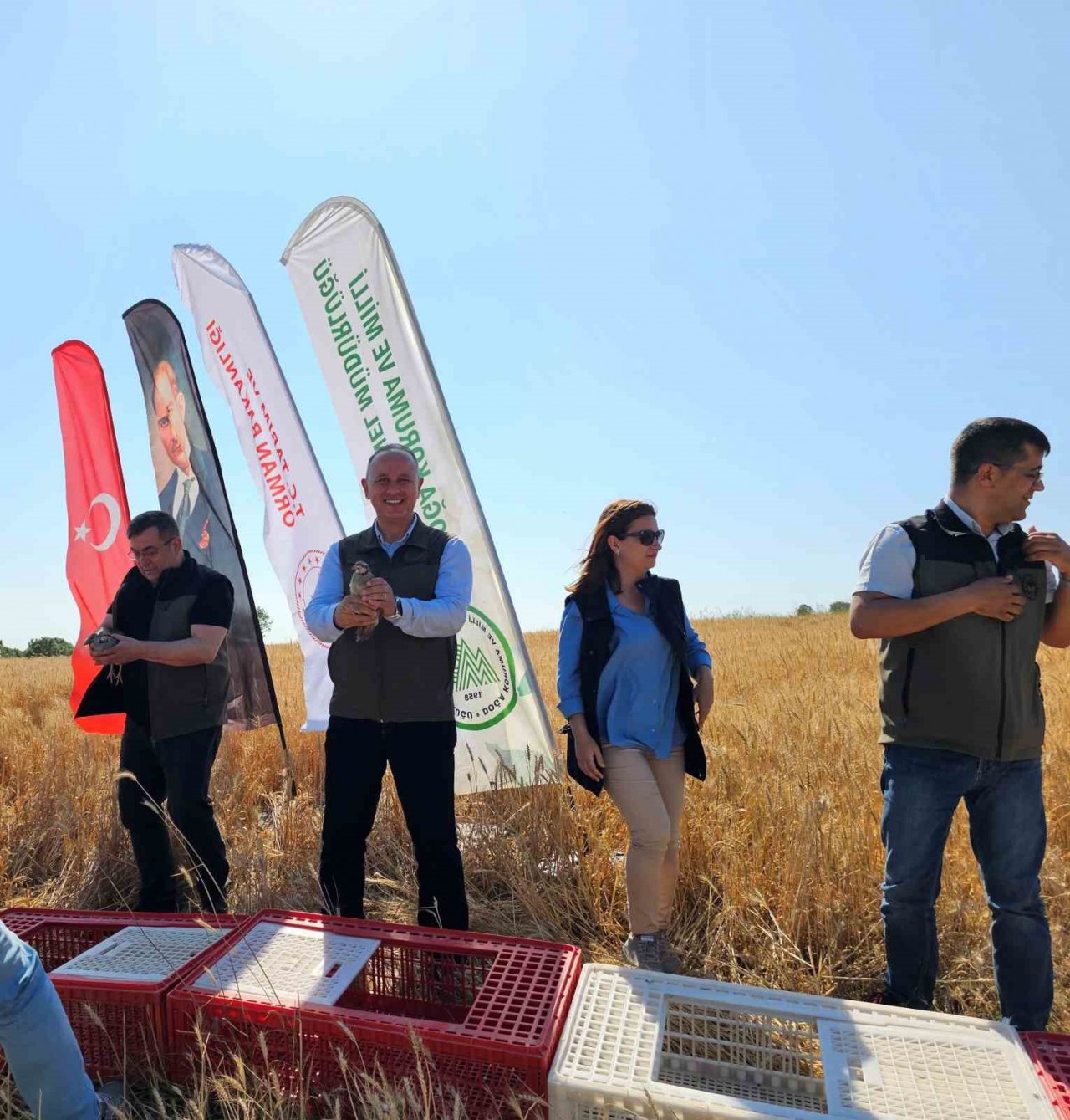 Süneyle mücadele için doğaya 2 bin keklik salındı