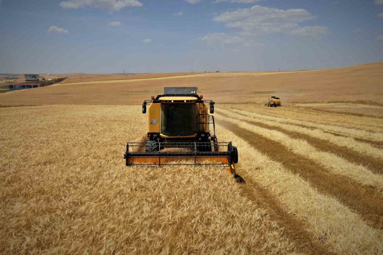 Diyarbakır hububatında tarihi rekolte: Çiftçinin yüzü güldü