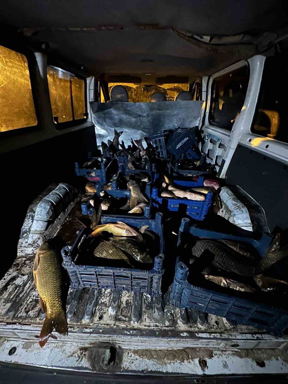 Elazığ’da 1 ton kaçak balık ele geçirildi