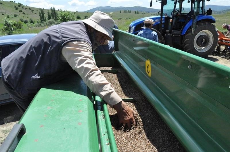 Türkiye’nin ilk karabuğday işleme fabrikasına sahip Gümüşhane’de buğday ekim sezonu başladı