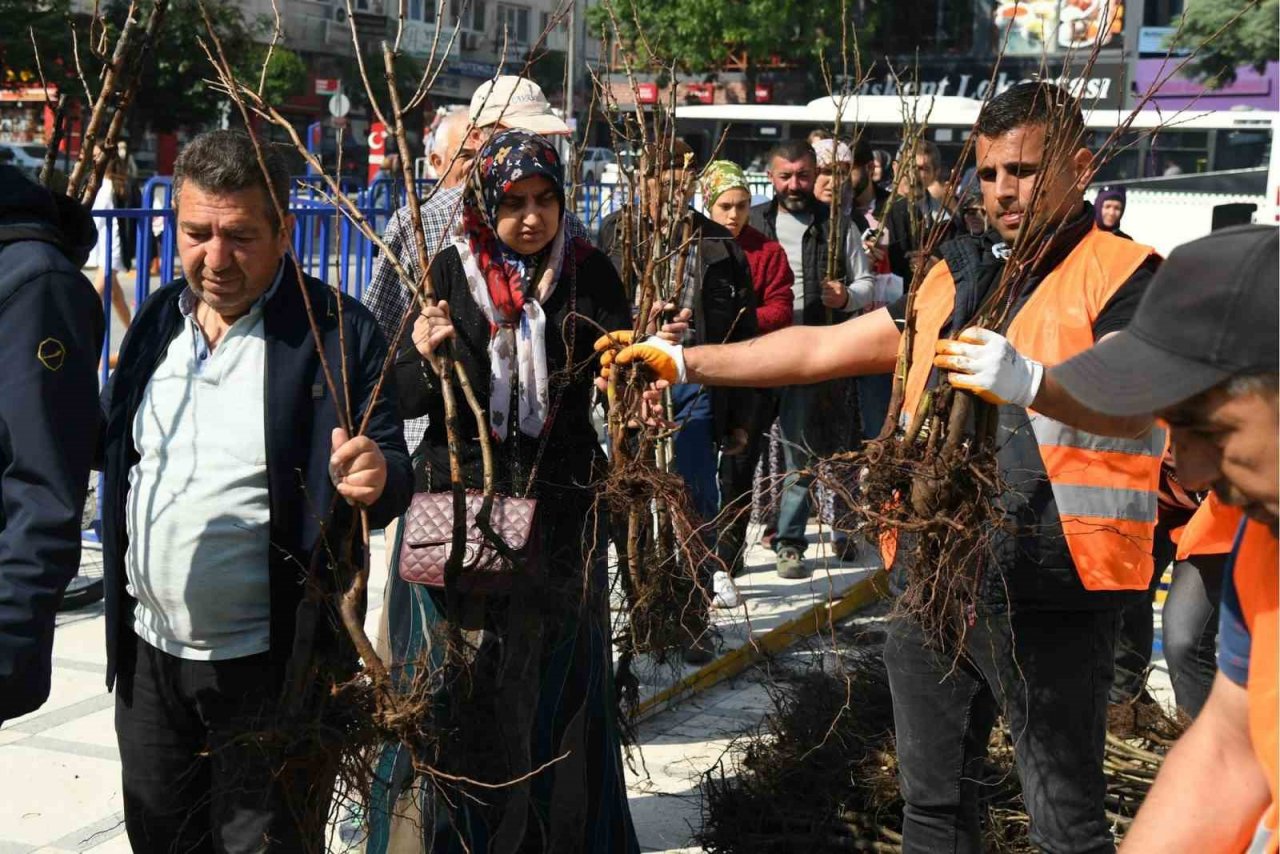 Isparta Belediyesinin dağıttığı fidan sayısı 72 bine ulaştı
