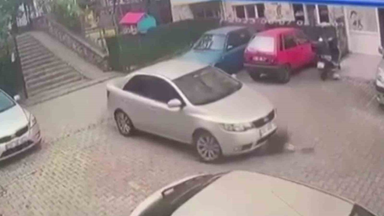 Kartal’da yerde yatan köpeği otomobiliyle ezerek telef etti