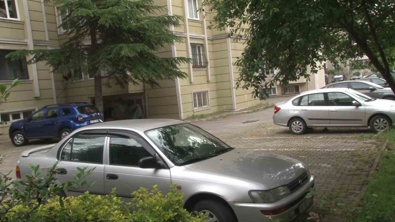 Kartal’da yerde yatan köpeği otomobiliyle ezerek telef etti