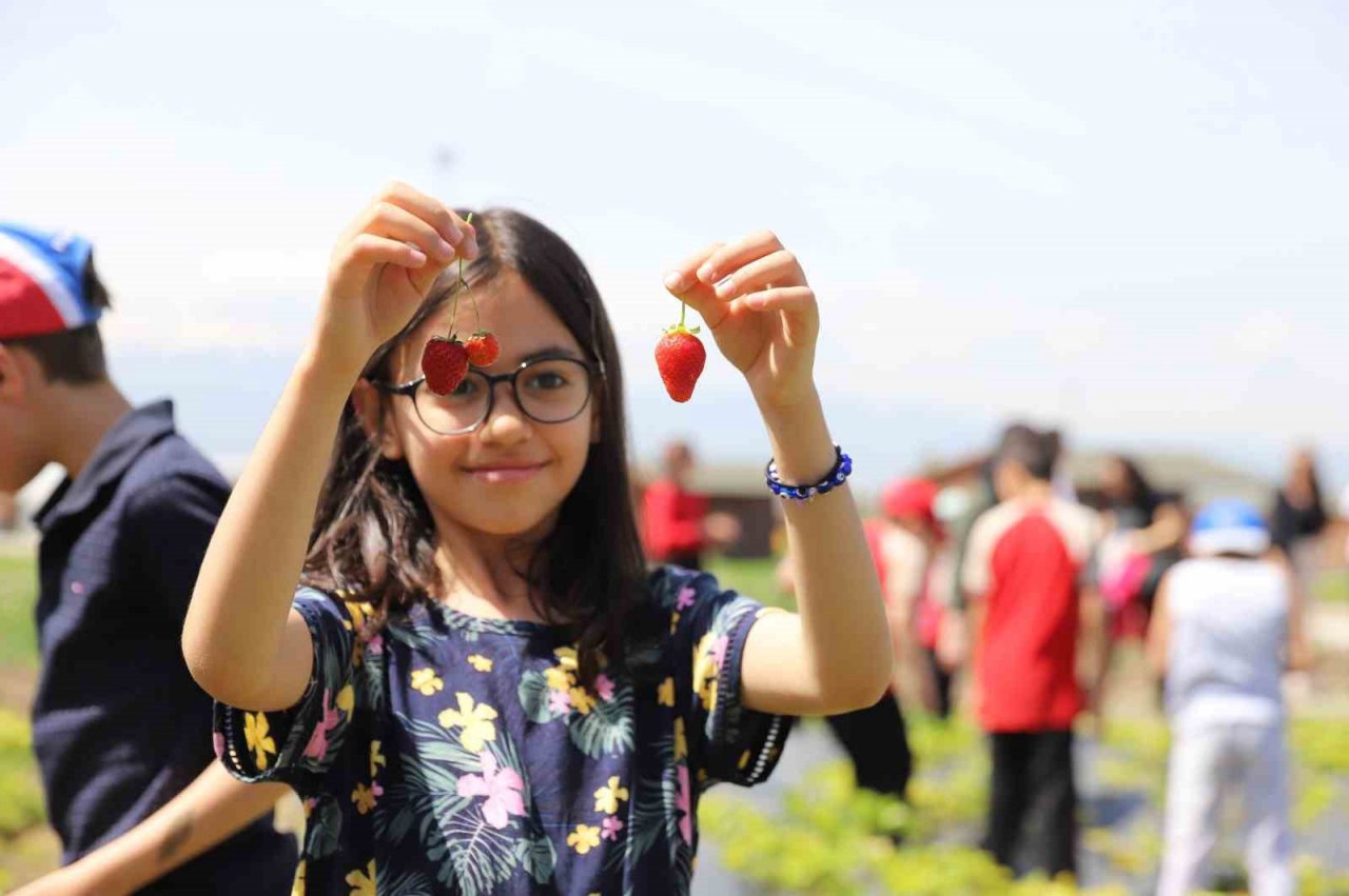 Büyükşehir’in doğal ürünler bahçesi minkleri ağırladı