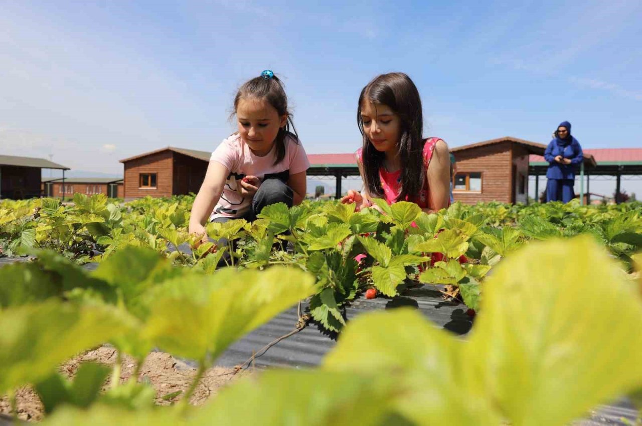 Büyükşehir’in Doğal Ürünler Bahçesi, minikleri ağırladı