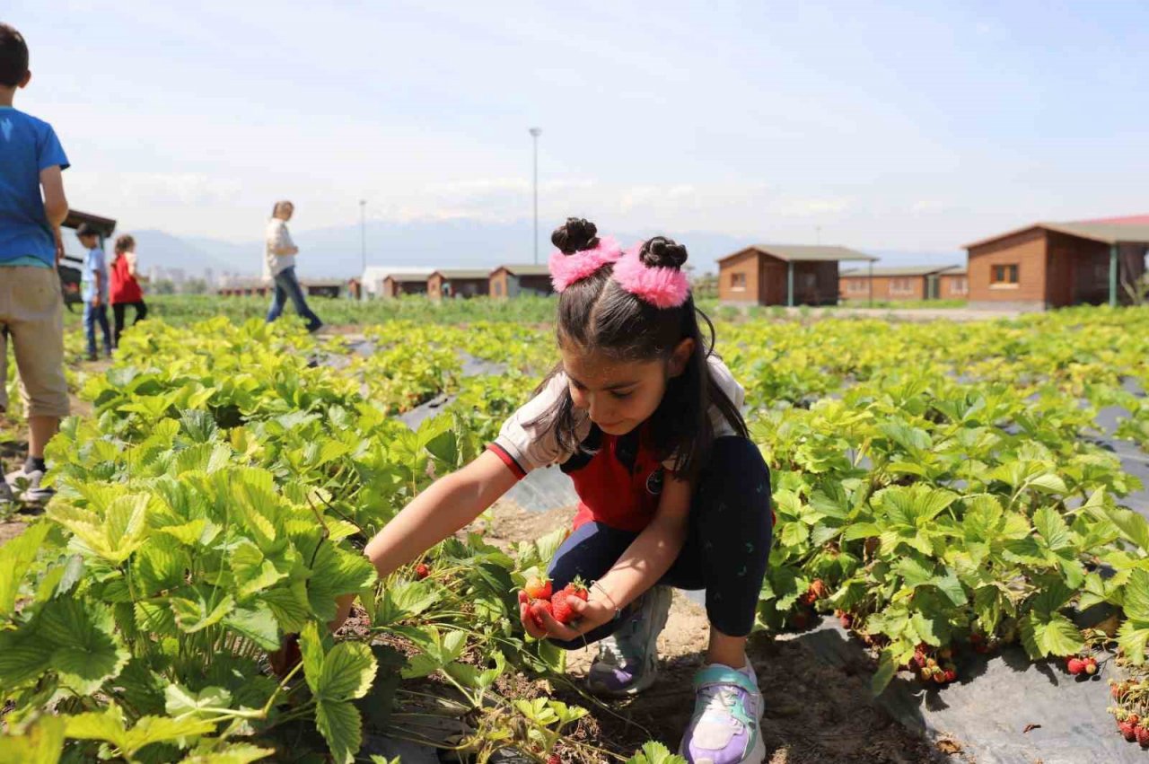Büyükşehir’in Doğal Ürünler Bahçesi, minikleri ağırladı