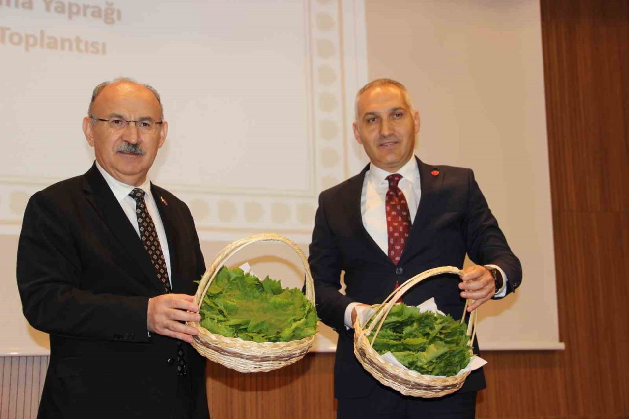 Manisa asma yaprağı değerine değer kattı