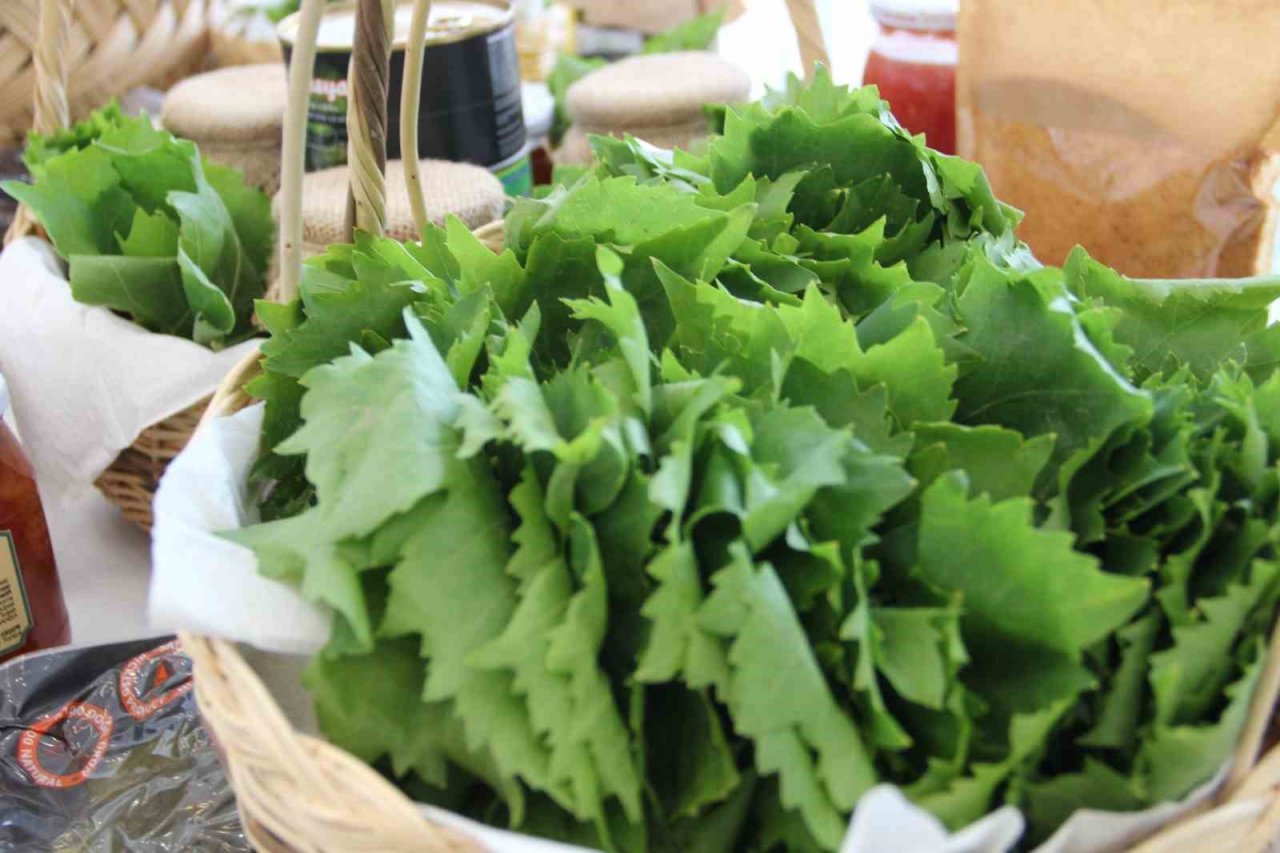 Manisa asma yaprağı değerine değer kattı