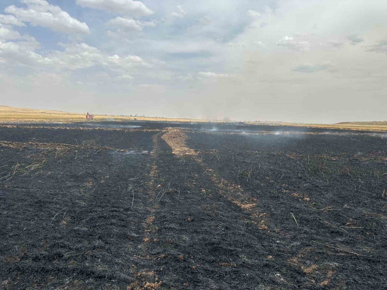 Derik’te 120 dönüm buğday tarlası küle döndü