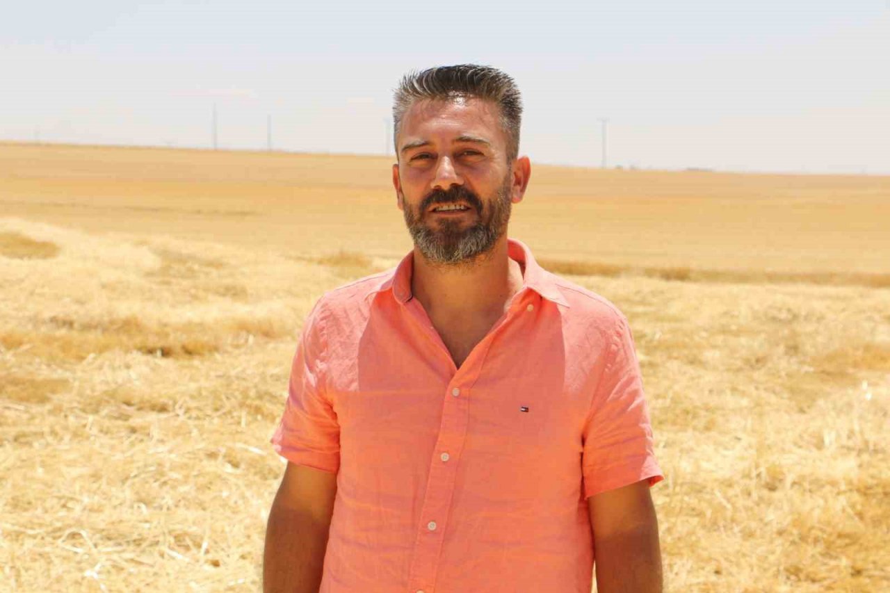 Diyarbakır hububatında tarihi rekolte: Çiftçinin yüzü güldü