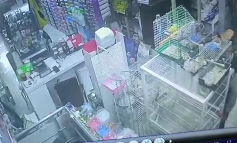 Sultangazi’de hırsızlar petshoptan çaldıkları kuşları montun cebine sakladı: O anlar kamerada