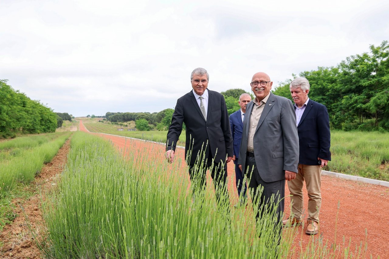 Başkan Yüce: "Botanik Park’ta hasat edilen ürünlerin önemli bir kısmı ihraç ediliyor"