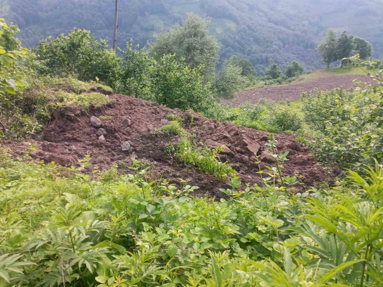 Heyelan 40 yıllık emeğini aldı