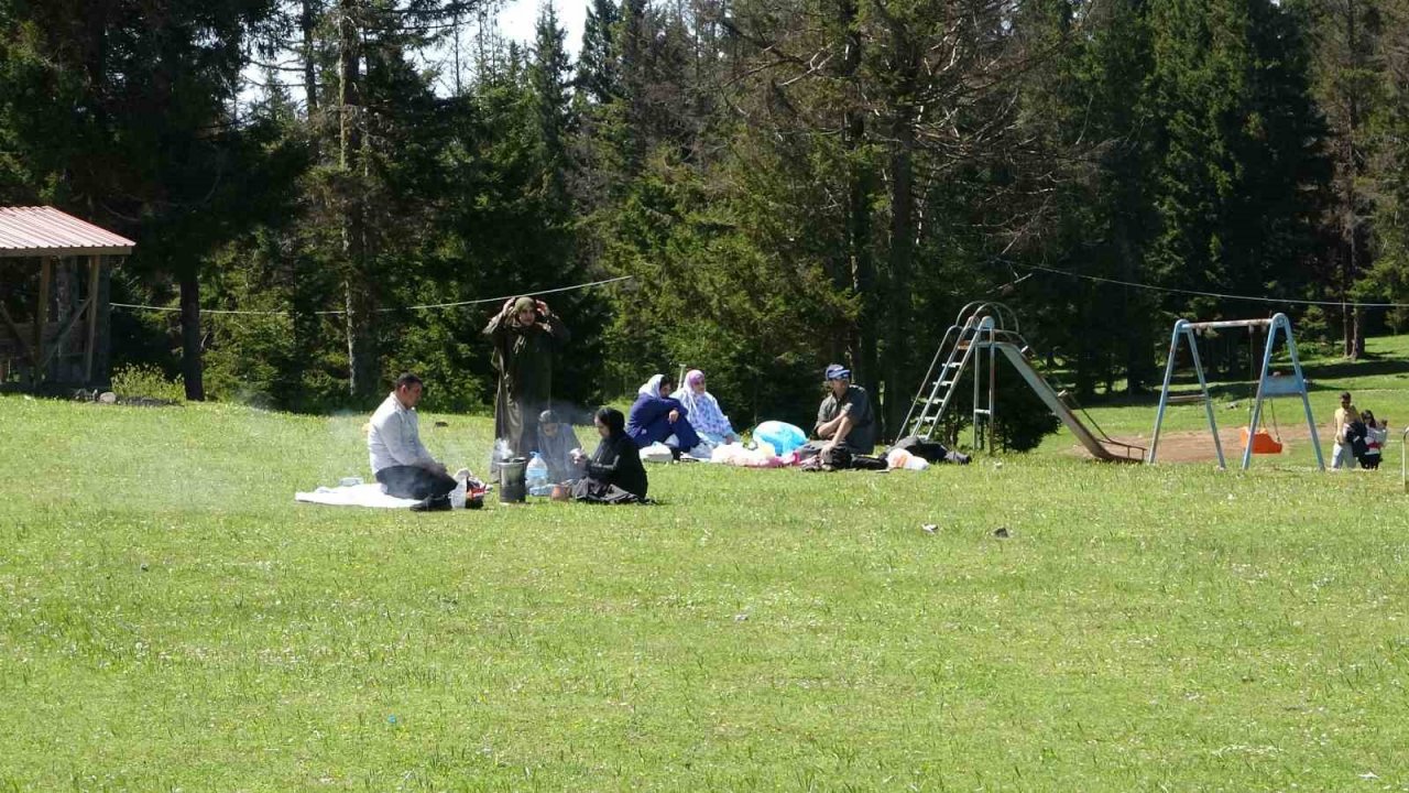 Güneşli havayı fırsat bilip yaylaları şenlendirdiler
