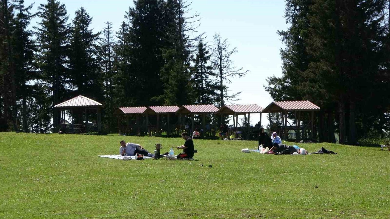 Güneşli havayı fırsat bilip yaylaları şenlendirdiler