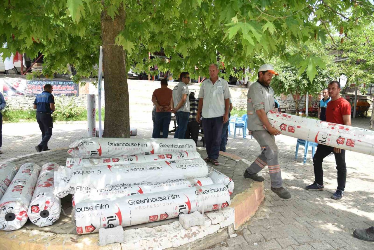 Çilek üreticisine büyükşehirden naylon desteği