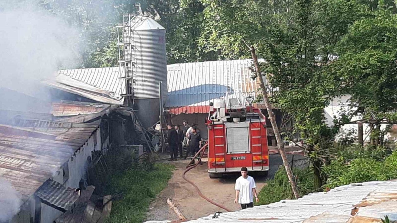 Hindi çiftliğinde yangın çıktı