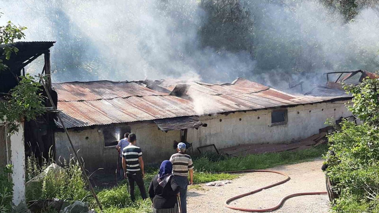Hindi çiftliğinde yangın çıktı