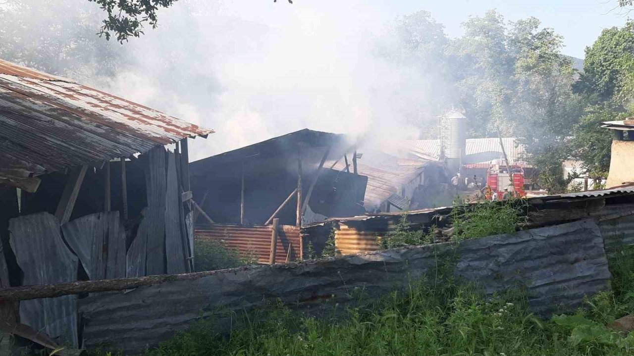 Hindi çiftliğinde yangın çıktı