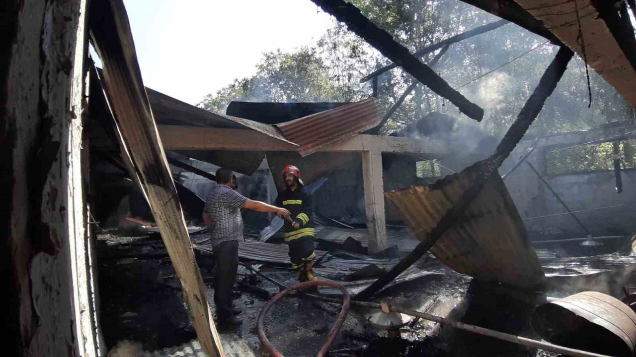 Hindi çiftliğinde yangın çıktı