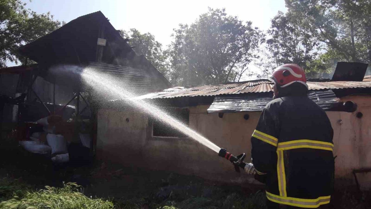 Hindi çiftliğinde yangın çıktı