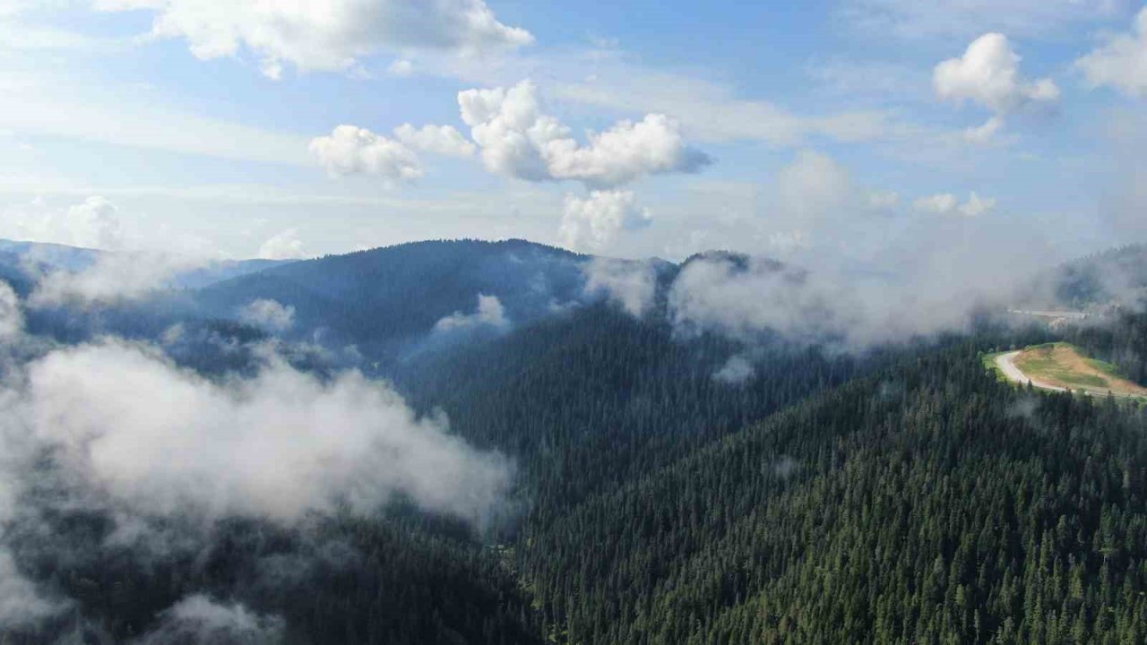 Sis bulutları ile kaplanan Ilgaz Dağı’nda mest eden görüntüler