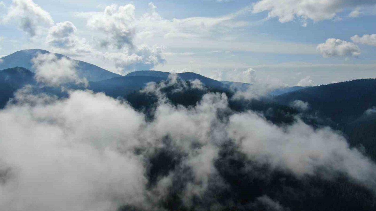 Sis bulutları ile kaplanan Ilgaz Dağı’nda mest eden görüntüler