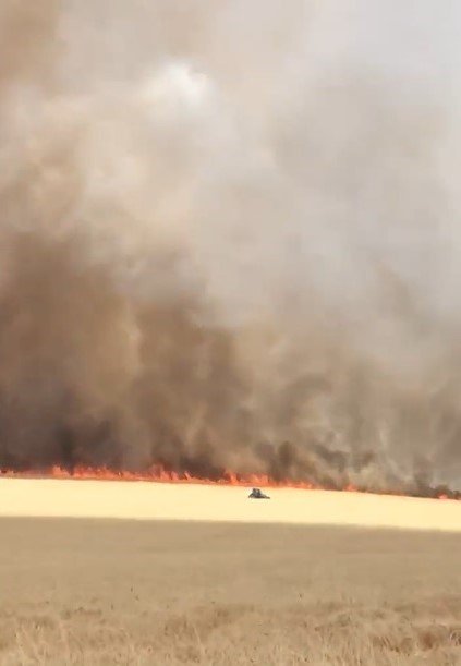 Sigara izmariti 700 dönümlük tarlayı küle çevirdi