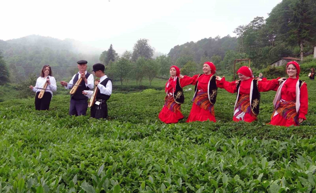 Dünyanın en kaliteli fındığının üretildiği Giresun’da kemençe eşliğinde çay hasat şenliği yapıldı