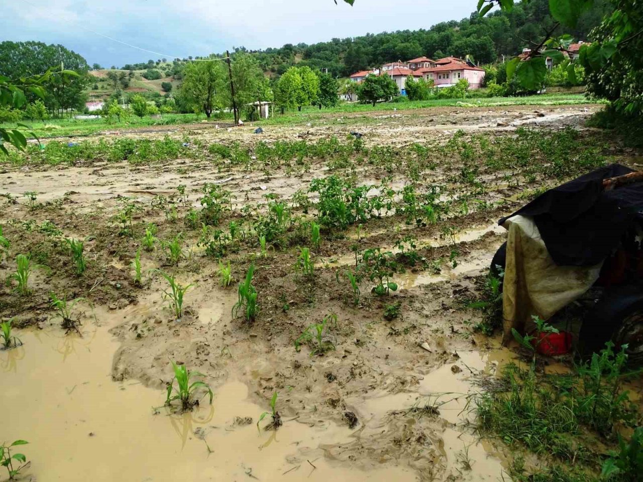 Hisarcık’ta sağanak yağış sonrası tarım arazileri sular altında kaldı