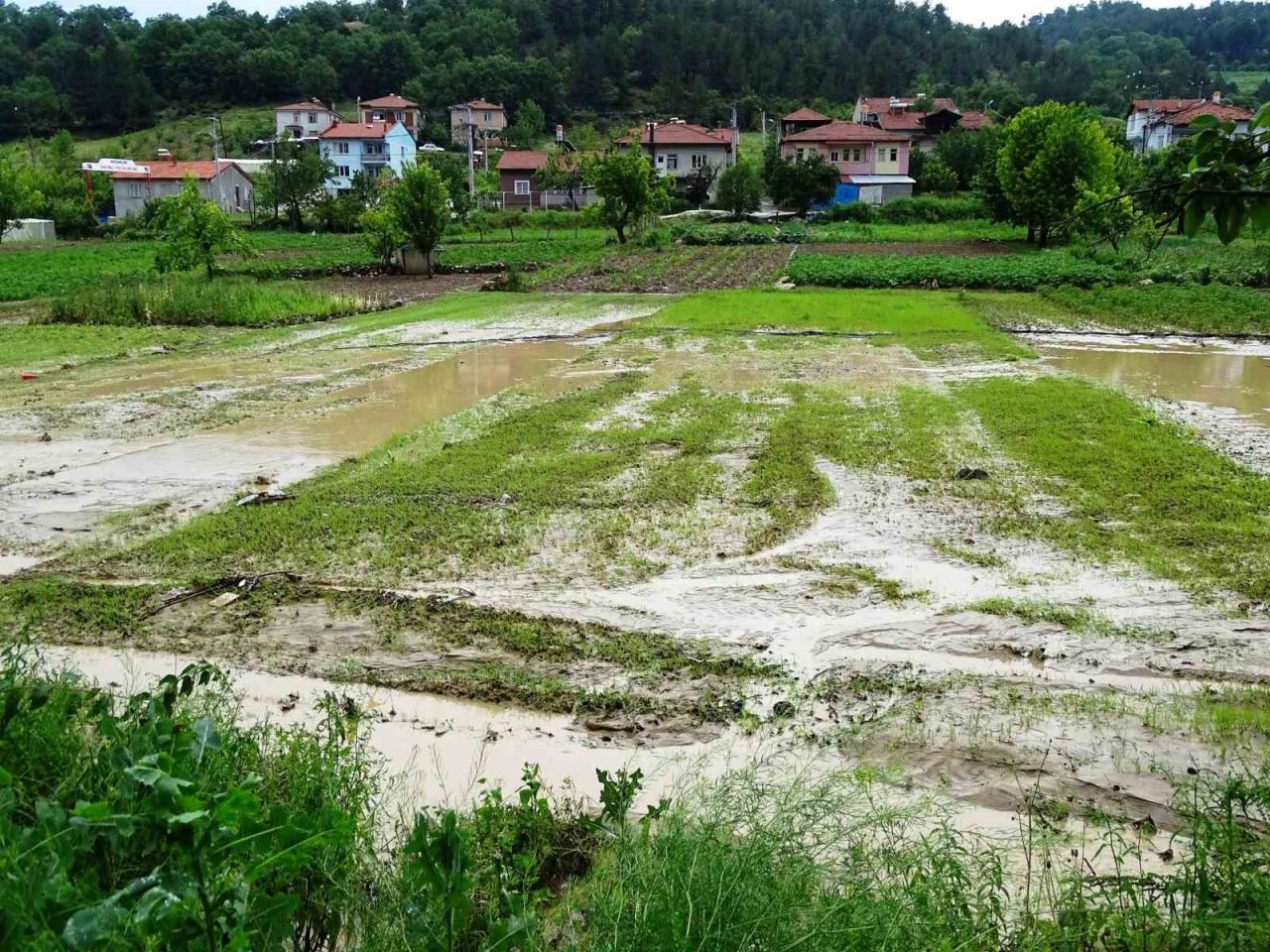 Hisarcık’ta sağanak yağış sonrası tarım arazileri sular altında kaldı