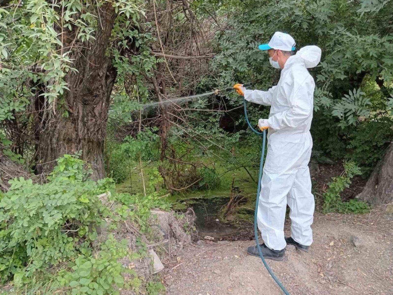 Malatya’da haşere ile mücadele çalışmaları sürüyor