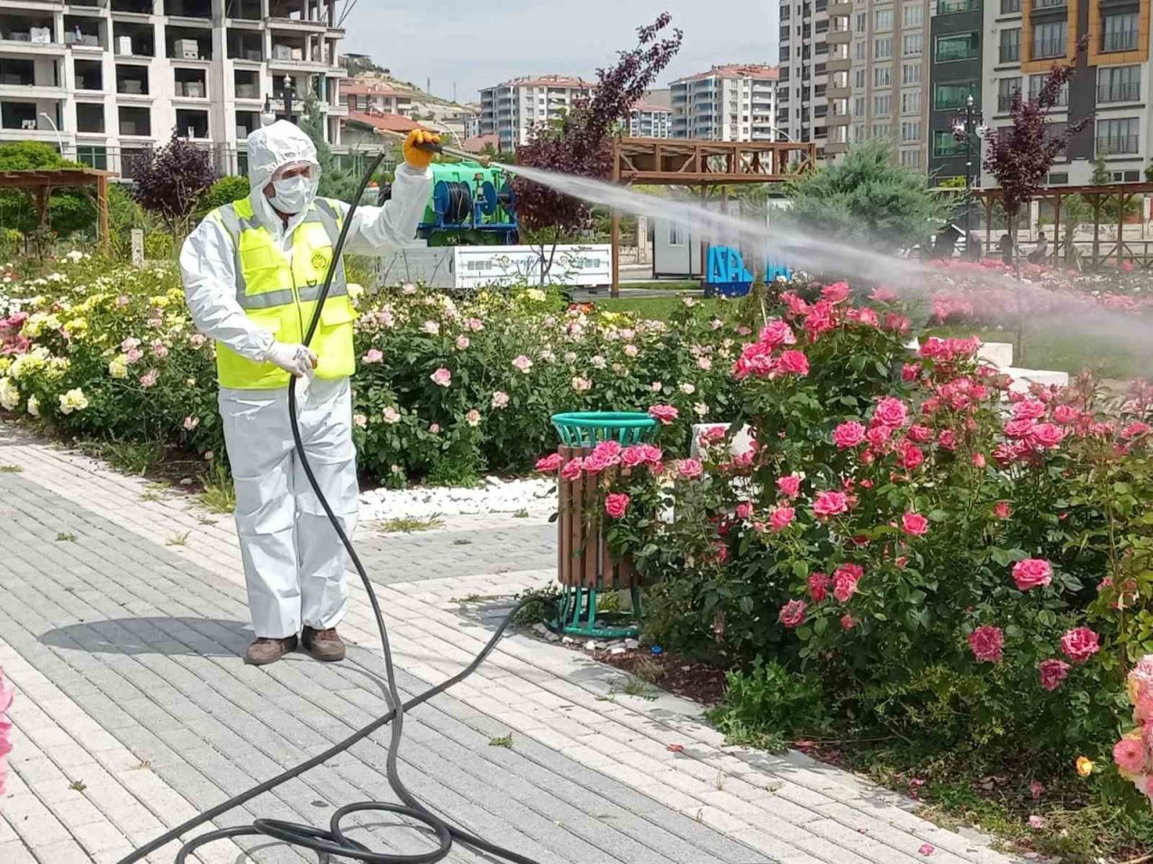 Malatya’da haşere ile mücadele çalışmaları sürüyor