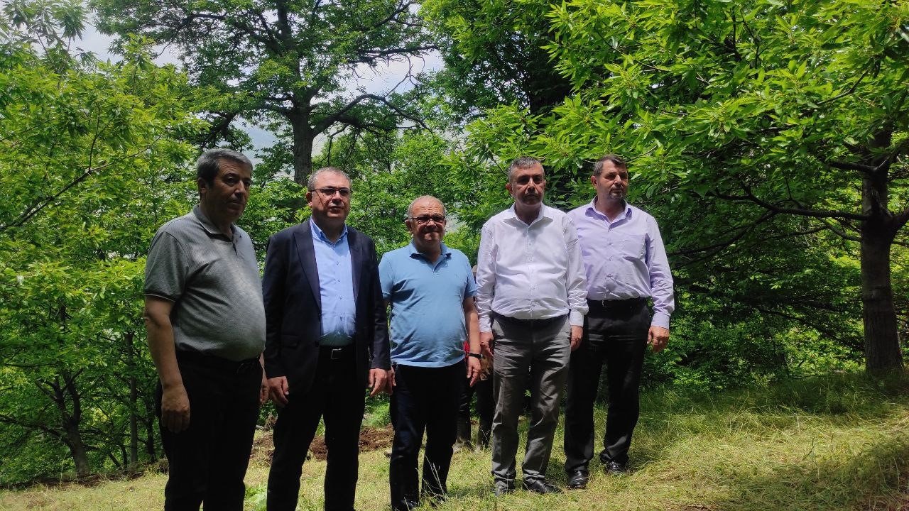 Milletvekili Karakoz, Köşk’te kestane üreticileri ile buluştu