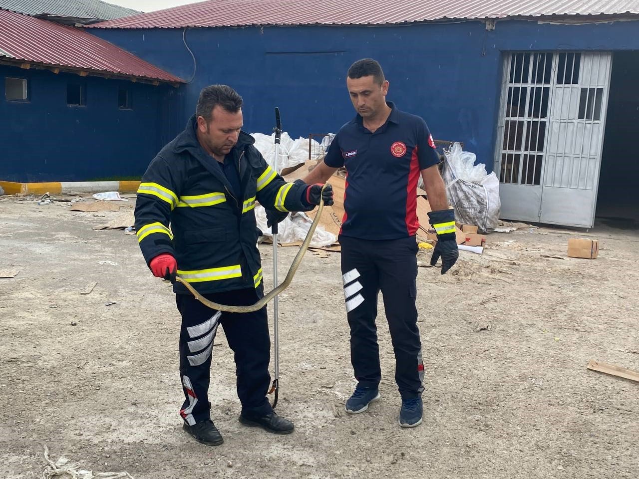 İş yerine giren yılanı itfaiye ekipleri çıkardı