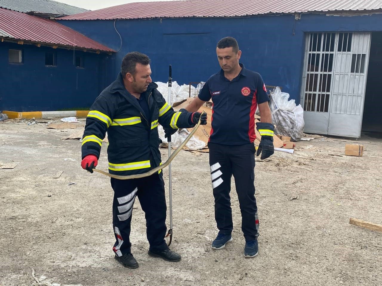 İş yerine giren yılanı itfaiye ekipleri çıkardı