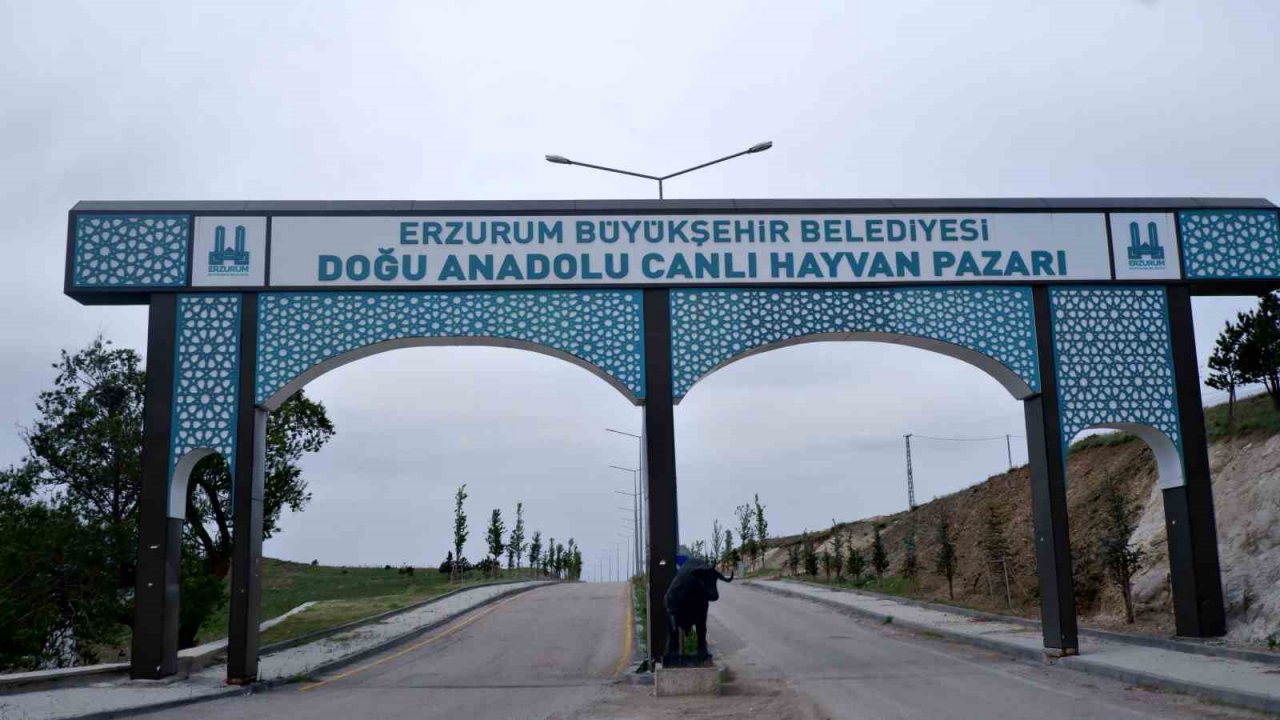Doğu Anadolu Canlı Hayvan Pazarı’nda hareketlilik başladı