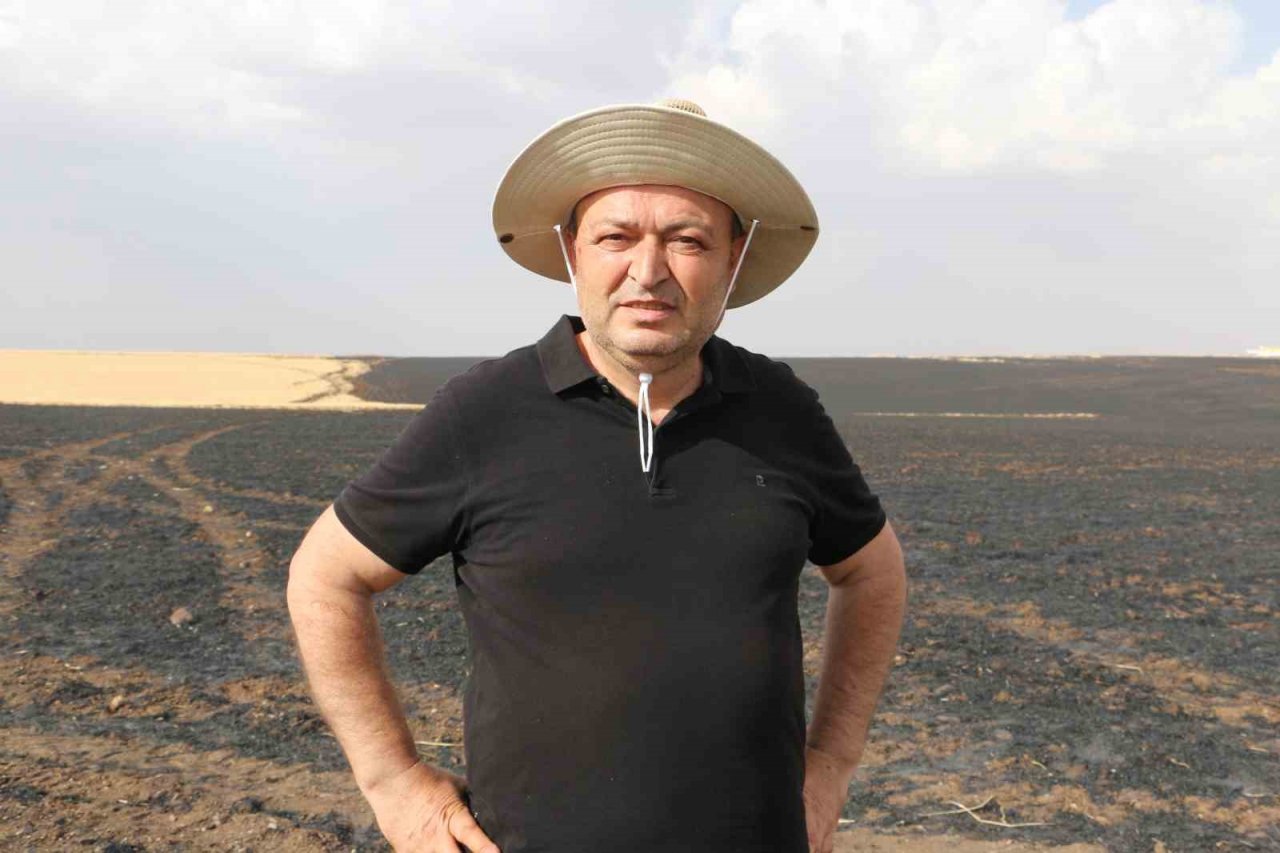 Sigara izmariti 700 dönümlük tarlayı küle çevirdi