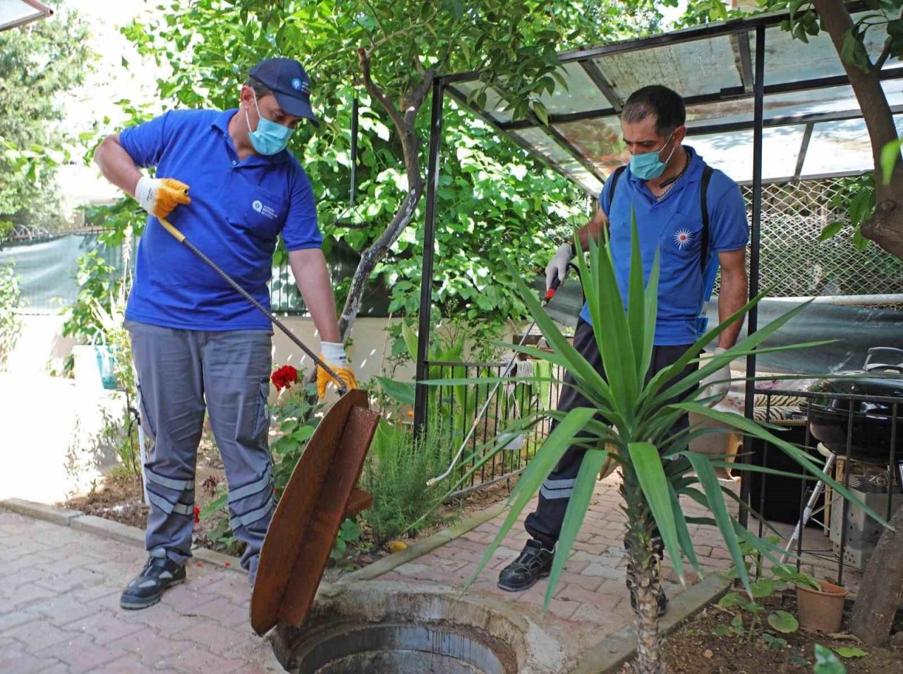 Sineksiz yaz için ilaçlama ordusu iş başında